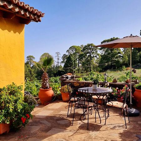 Villa Federico Puntagorda Exterior foto